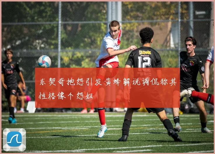 东契奇抱怨引发黄蜂解说调侃称其性格像个怨妇