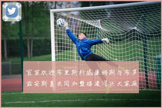 官宣欢迎布里斯科威廉姆斯与布罗兹安斯基共同加盟福建浔兴大家庭